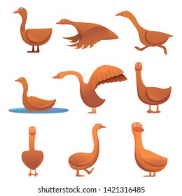 Goose icons set. Cartoon set of goose vector icons for web design