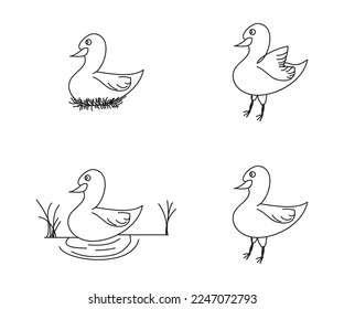 goose illustration icon collection.
coloring book.
vector doodle.