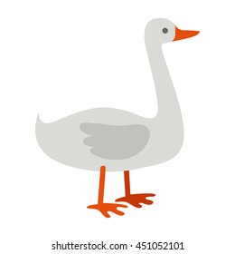 Goose illustration. Vector in flat style design. Domestic animal. Country inhabitants concept. Picture for farming, animal husbandry, meat production companies. Isolated on white background.