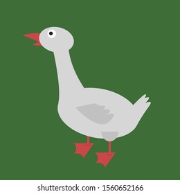 Goose, illustration, vector on white background.
