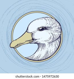 Goose. Ink drawing. Vector illustration.
