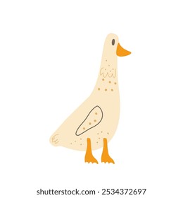 Goose isolated on white background. Poultry character. Vector hand drawn flat illustration