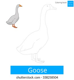 Aprender las aves de la oca aprender a dibujar ilustración vectorial
