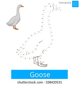 Aprender las aves de la oca aprender a dibujar ilustración vectorial