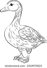 Goose. Line art with thin black lines. Black and white image.