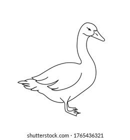 Goose line drawing. Minimalistic style for logo, icons, emblems, template, badges. Isolated on white background.