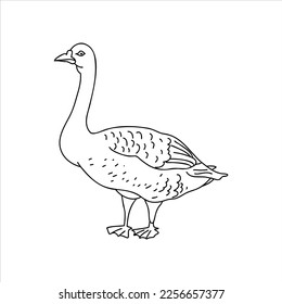 Goose linear had drawn doodle, bird farm icon collection