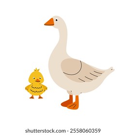 Goose with little gosling. Poultry. Farm animals in flat style on white background.