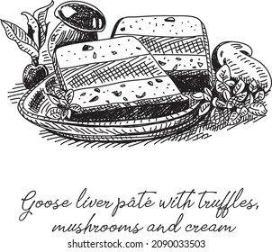 Goose liver pâté Sketchy goose liver pâté with truffles, mushrooms and cream Pate vector. Sketchy hand-drawn illustration.