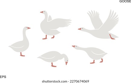 Goose logo. Isolated goose on white background. Bird