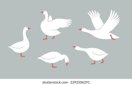 Goose logo. Isolated goose on white background. Bird
