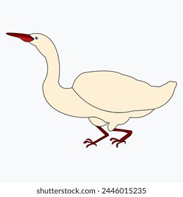 Goose with a long neck. Bird close-up, sitting on bent legs