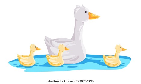 Goose mother swim with kids children in water vector drawing illustration white swan