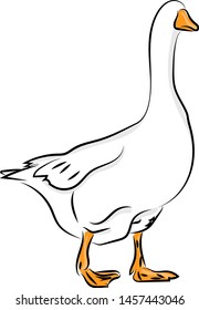 Goose with no face, illustration, vector on white background.