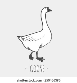 Goose on gray background 