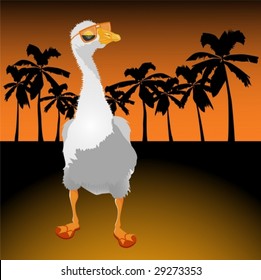 Goose on rest, in sun glasses reflecting the coming sun