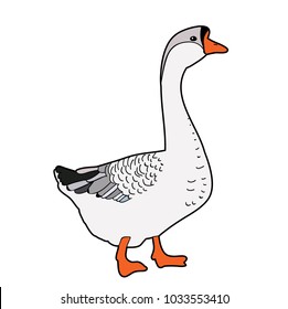 goose, on white background