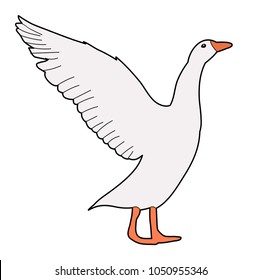 goose, on white background