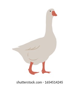 goose on a white background