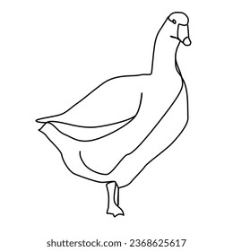 Goose, one line art, free hand drawn, vector illustration.