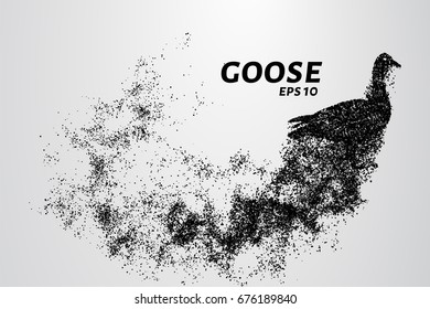 Goose of the particles. Goose consists of circles and points. Vector illustration