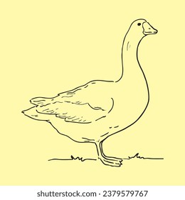 Goose. Picture. Vector graphics, eps