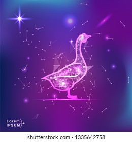 goose. Polygonal wireframe goose silhouette on gradient background. Space, futuristic, zodiac concept. Shine neon style vector illustration