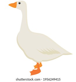 Goose poultry icon flat design vector image