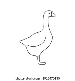 Goose poultry linear outline empty vector illustration.  