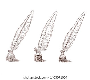 Goose quill in the ink pot isolated on a white background. Sketch feather birds set. Hand drawn vector illustration