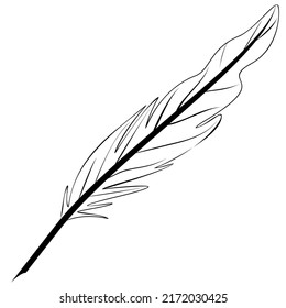 Goose Quill linear drawing vector graphics