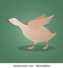 The goose runs before the flight. Vector illustration.