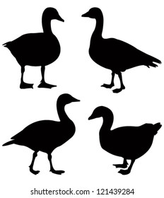 Goose Silhouette