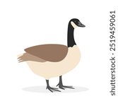 Goose simple vector illustration. Cute Canada goose cartoon clipart, animal in flat style. Farm animals concept, rural farming. Livestock poultry goose vector design isolated on white background