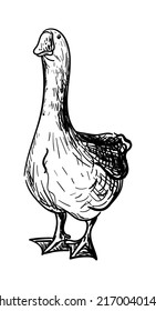 2,181 Goose tattoo Images, Stock Photos & Vectors | Shutterstock