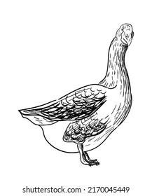 2,181 Goose tattoo Images, Stock Photos & Vectors | Shutterstock