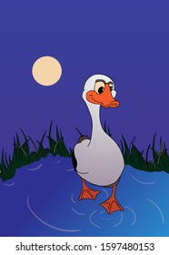 Goose stepping into a pond at night