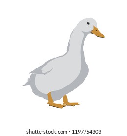 Goose Stock Vector illustration
