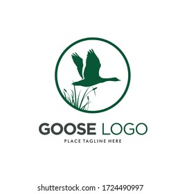 Goose Swan Duck Mallard Logo Design Vector Image