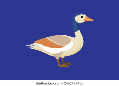 Goose  vector art image illustration