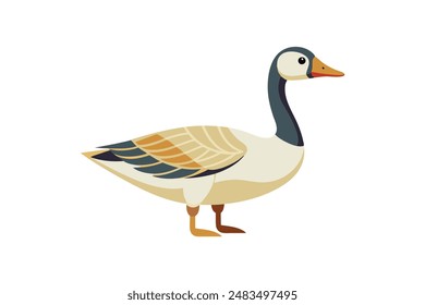 Goose  vector art image illustration