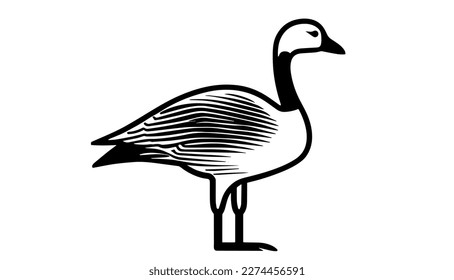 Goose vector black line illustration isolated white. Sketch art