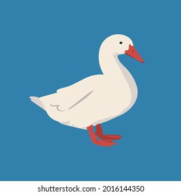 Ilustración dibujada a mano por vector de ganso en forma de dibujo plano. Aislado.