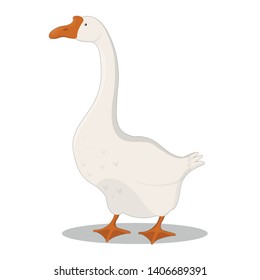 goose, vector illustration, cartoon style, isolated on white background