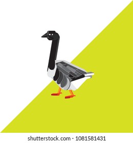 Goose vector illustration. Poultry vector. Gray goose