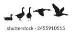 goose vector illustration silhouette isolated background