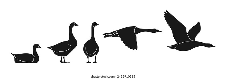 goose vector illustration silhouette isolated background