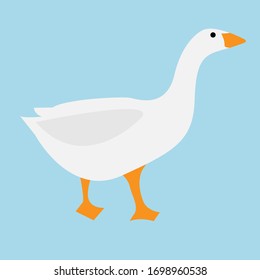 goose vector isolated on blue background. white goose bird , stock illustration