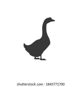 Goose vector silhouette icon. Vector