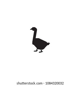 Goose vector silhouette on white background